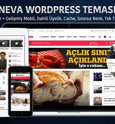 Novis Wordpress Teması